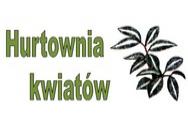 logo firmy